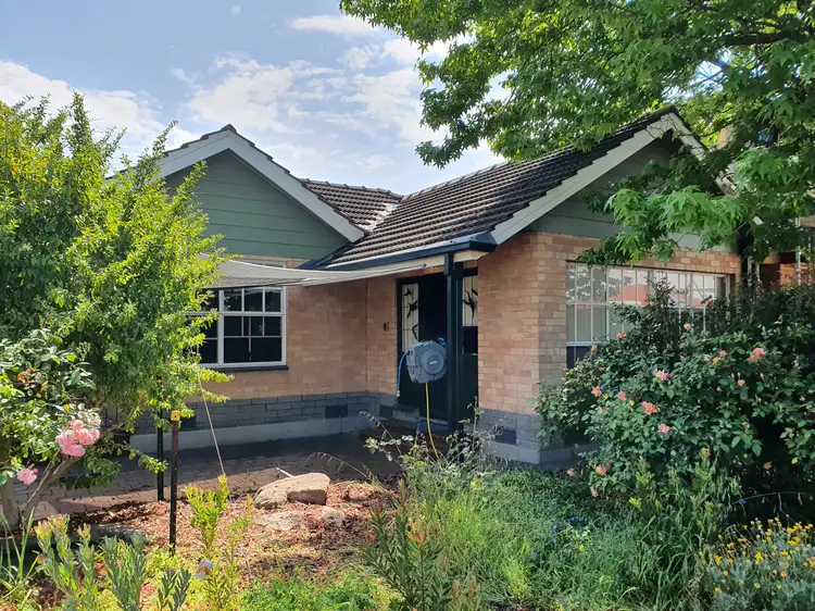 52 Cungena Avenue, Park Holme SA 5043