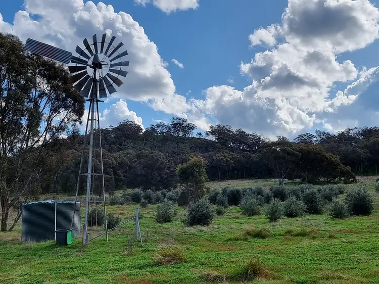 Main view of Homely rural property listing, "Pandoorah" 1638 Mt Hope Road, Coolah NSW 2843