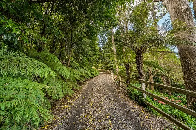 Third view of Homely house listing, 350A Browns Mountain Road, Browns Mountain NSW 2540