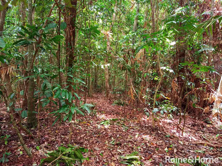 Sixth view of Homely land listing, Lot 1 Cape Tribulation Road, CAPE TRIBULATION, Daintree QLD 4873