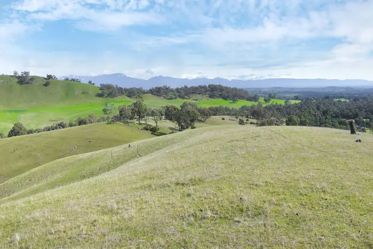 Second view of Homely rural property listing, Lot 1 / 172 Rhymney Road, Norval VIC 3377