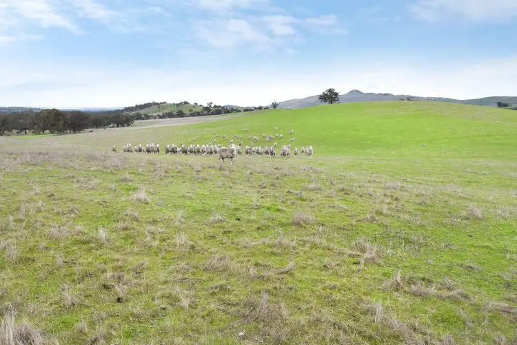 Third view of Homely rural property listing, Lot 1 / 172 Rhymney Road, Norval VIC 3377