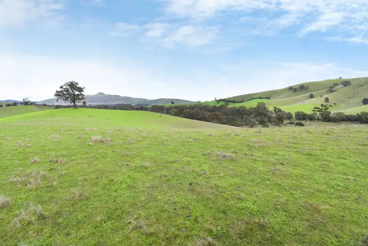 Fourth view of Homely rural property listing, Lot 1 / 172 Rhymney Road, Norval VIC 3377