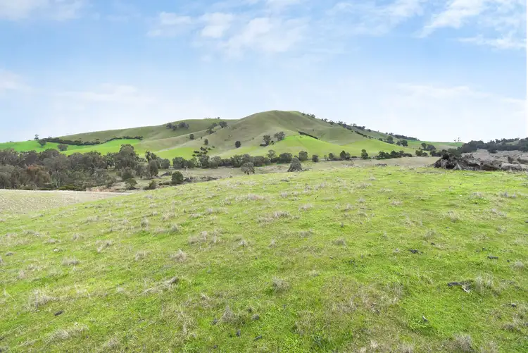 Fifth view of Homely rural property listing, Lot 1 / 172 Rhymney Road, Norval VIC 3377