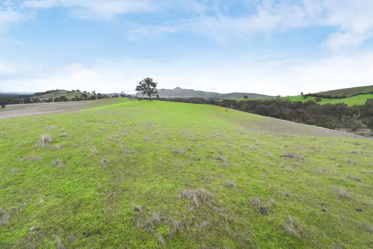 Sixth view of Homely rural property listing, Lot 1 / 172 Rhymney Road, Norval VIC 3377