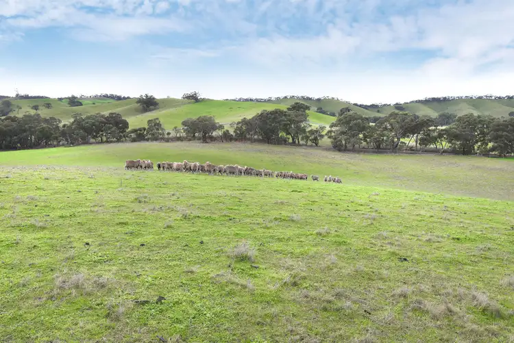 Seventh view of Homely rural property listing, Lot 1 / 172 Rhymney Road, Norval VIC 3377