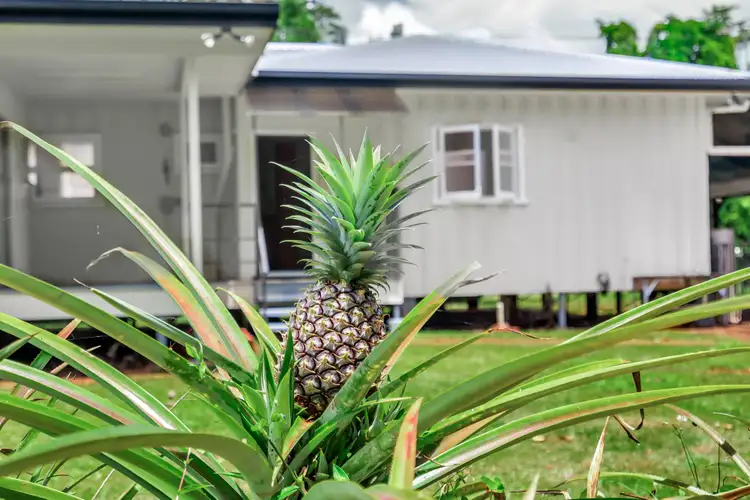 Third view of Homely house listing, 394 Palmerston Highway, Stoters Hill QLD 4860