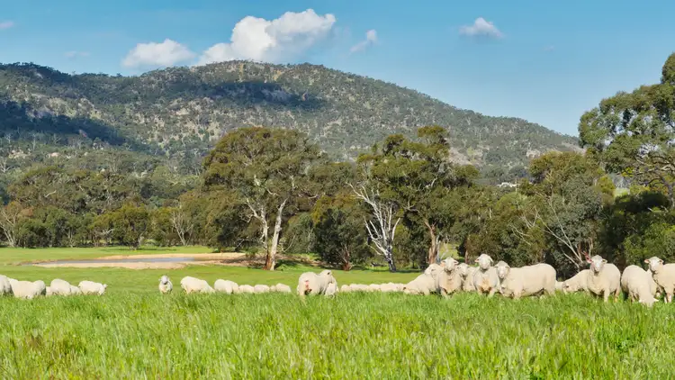 Fifth view of Homely rural property listing, Lot 2 Bunjils Cave Road, Black Range VIC 3381