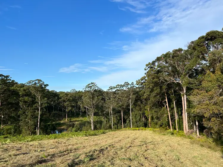 Fourth view of Homely rural property listing, LOT 20/475 VERRIERDALE RD, Verrierdale QLD 4562
