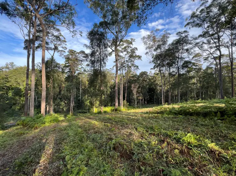 Sixth view of Homely rural property listing, LOT 20/475 VERRIERDALE RD, Verrierdale QLD 4562