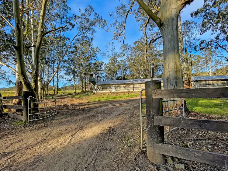 Main view of Homely rural property listing, 582 Mill Creek Road, Stroud NSW 2425