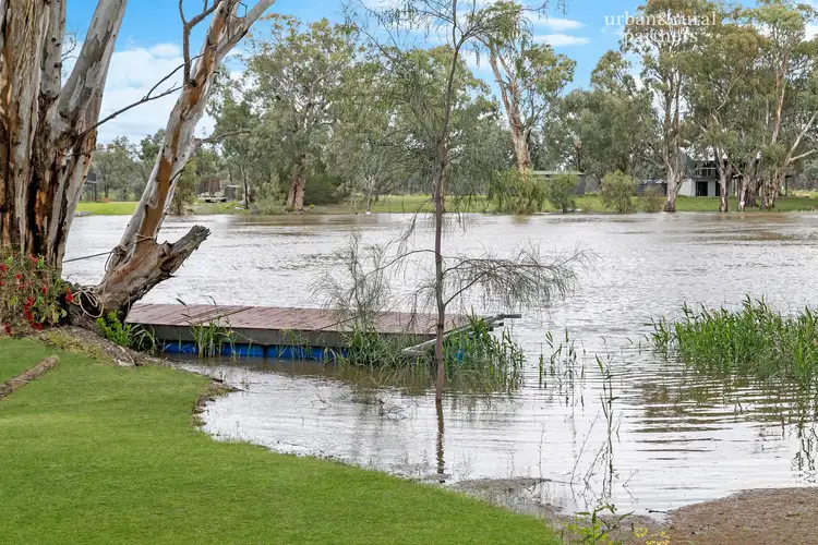 Fifth view of Homely house listing, 140 Old Murbko Road, Cadell SA 5321