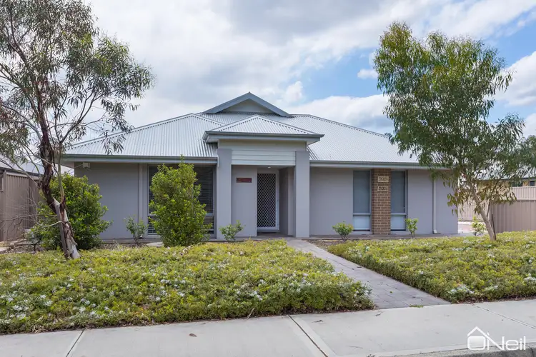 Main view of Homely house listing, 14 Hill Street, Kelmscott WA 6111