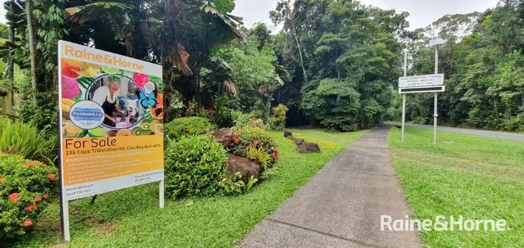 Main view of Homely house listing, 1498 Cape Tribulation Road, Cow Bay (FLORAVILLA), Daintree QLD 4873