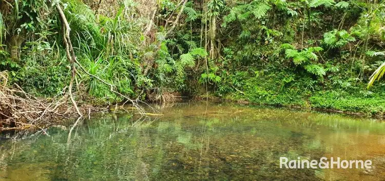 Third view of Homely house listing, 1498 Cape Tribulation Road, Cow Bay (FLORAVILLA), Daintree QLD 4873