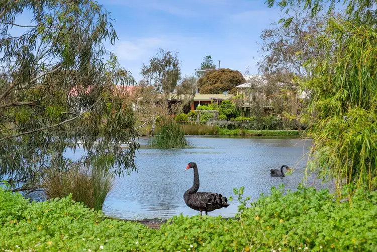 Third view of Homely land listing, 27 Asbury St West, Ocean Grove VIC 3226