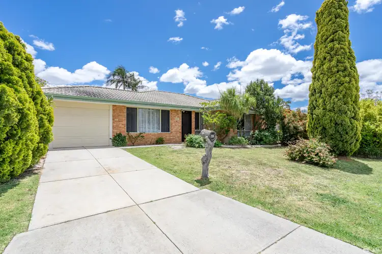Main view of Homely house listing, 104 Riverside Lane, Seville Grove WA 6112