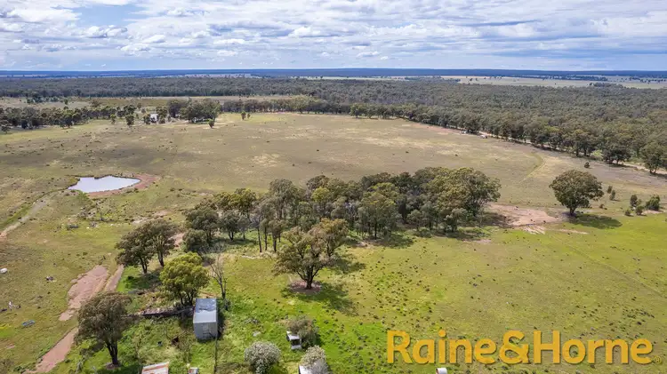 Fourth view of Homely rural property listing, 10L Hains Road, Eumungerie NSW 2822