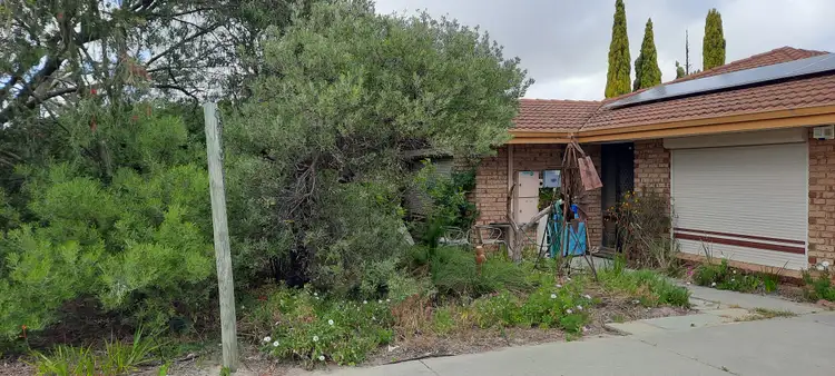 Third view of Homely house listing, 36 Magnolia Gardens, Yangebup WA 6164