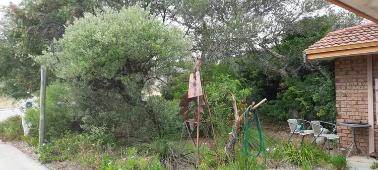 Fourth view of Homely house listing, 36 Magnolia Gardens, Yangebup WA 6164