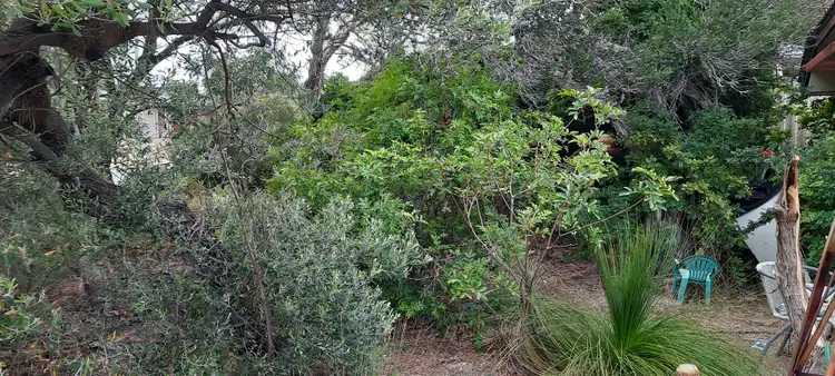 Fifth view of Homely house listing, 36 Magnolia Gardens, Yangebup WA 6164