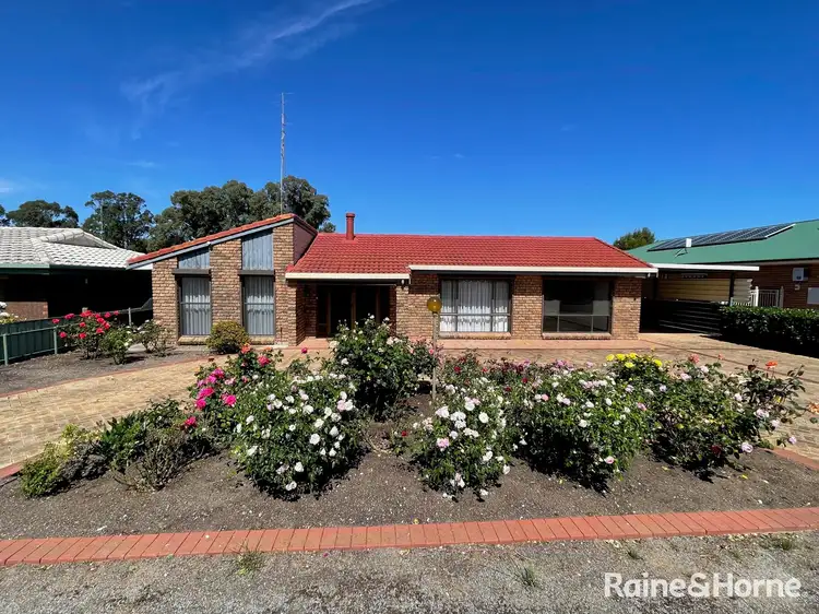 Main view of Homely house listing, 5 East Terrace, Cummins SA 5631