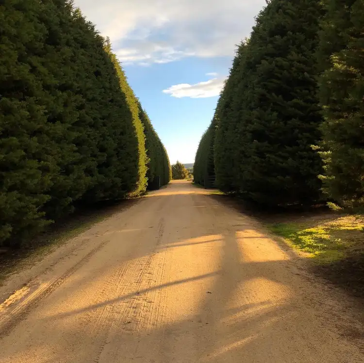 Seventh view of Homely rural property listing, 249 Mount Eliza Road, Riddells Creek VIC 3431