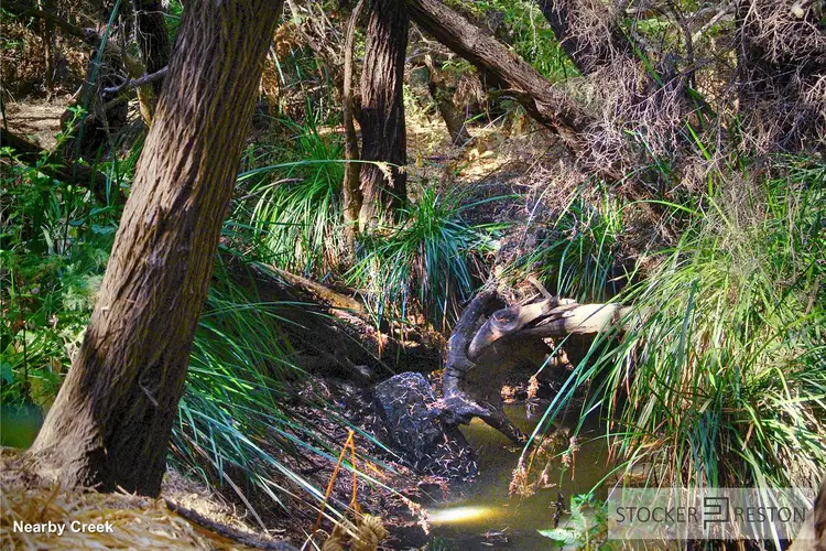 Seventh view of Homely land listing, 4 Minnow Way, Witchcliffe, Margaret River WA 6285