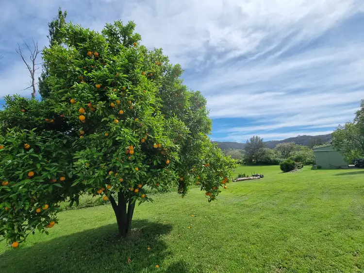 Sixth view of Homely land listing, 1811 Nundle Road, Dungowan NSW 2340