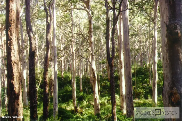 Main view of Homely land listing, 21 Surf Break Drive, Cowaramup WA 6284