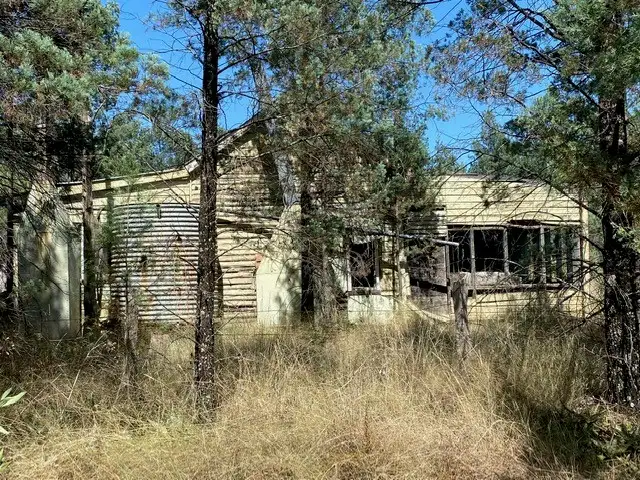 Second view of Homely rural property listing, 1684 Gulargambone Road, Baradine NSW 2396