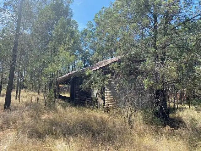 Fourth view of Homely rural property listing, 1684 Gulargambone Road, Baradine NSW 2396