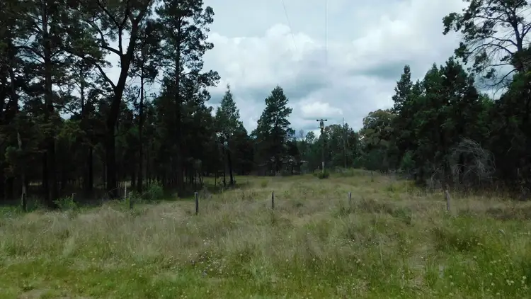 Fifth view of Homely rural property listing, 1684 Gulargambone Road, Baradine NSW 2396