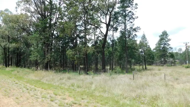 Sixth view of Homely rural property listing, 1684 Gulargambone Road, Baradine NSW 2396