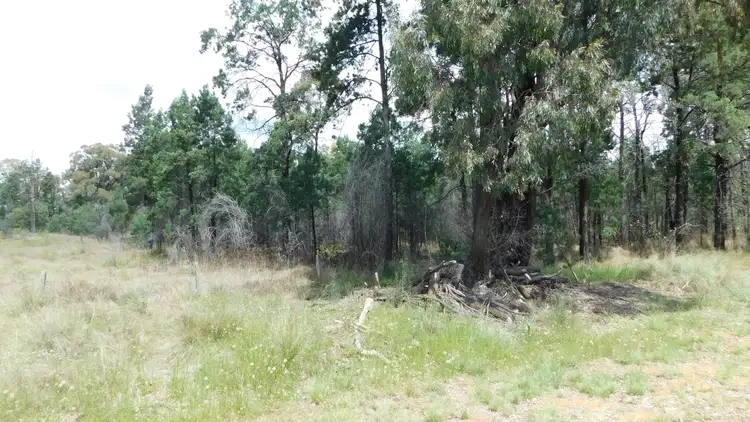 Seventh view of Homely rural property listing, 1684 Gulargambone Road, Baradine NSW 2396
