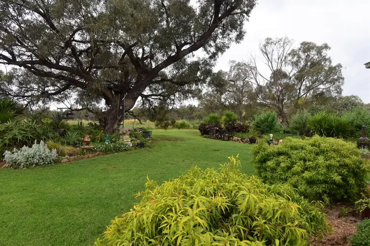 Fifth view of Homely house listing, 175R Nubingerie Road Benolong via, Wellington NSW 2820