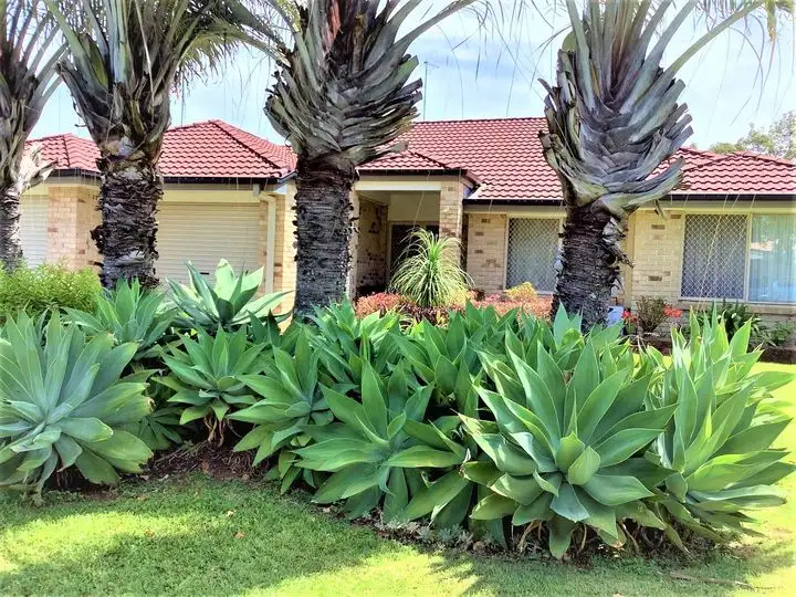 14 Mornington Court, Wellington Point QLD 4160
