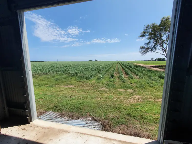 Fifth view of Homely land listing, 398 Anabranch Road, Jarvisfield QLD 4807