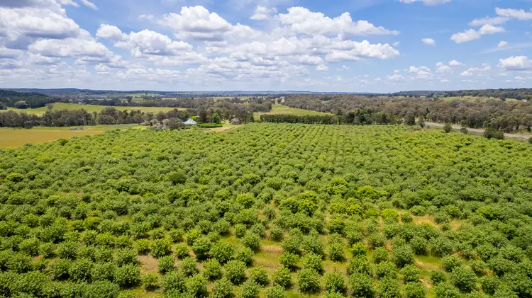 Second view of Homely rural property listing, "Murrungundy" 412L Golden Highway, Elong Elong NSW 2831