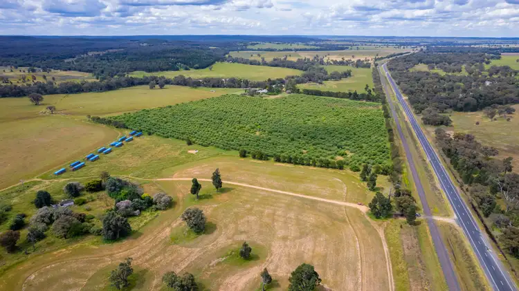 Fourth view of Homely rural property listing, "Murrungundy" 412L Golden Highway, Elong Elong NSW 2831