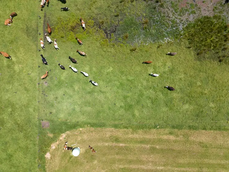 Third view of Homely land listing, Lot 1 Comerong Island Road, Comerong Island NSW 2540