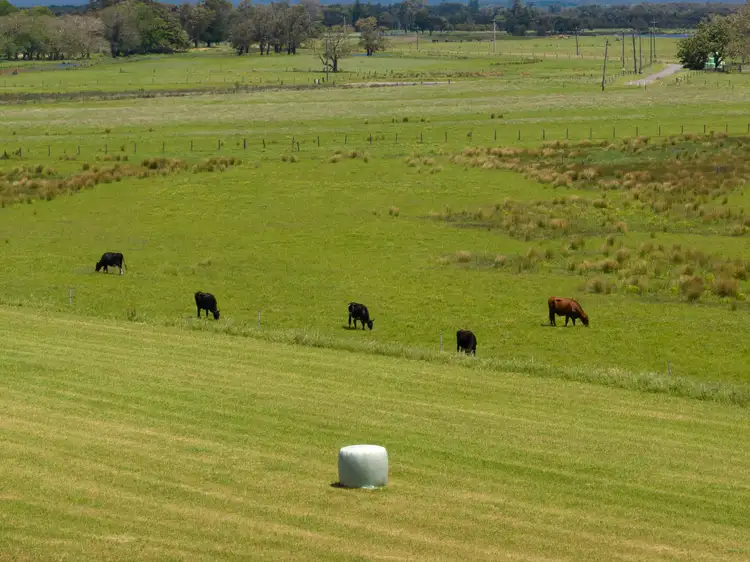 Seventh view of Homely land listing, Lot 1 Comerong Island Road, Comerong Island NSW 2540