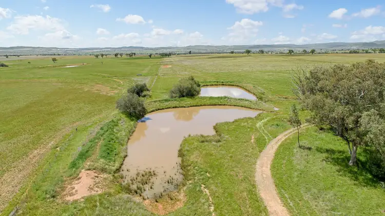 Fifth view of Homely rural property listing, "Peppertree" 434 Soldiers Settlement Road, Bective, Tamworth NSW 2340