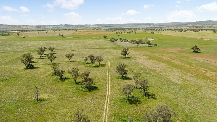 Seventh view of Homely rural property listing, "Peppertree" 434 Soldiers Settlement Road, Bective, Tamworth NSW 2340