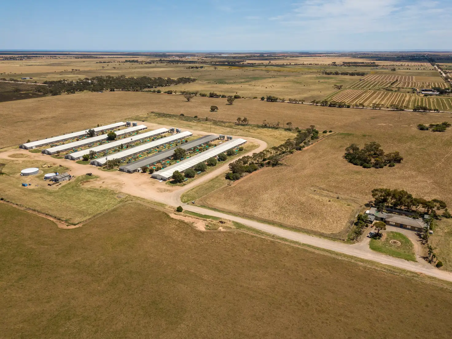 Main view of Homely rural property listing, 48 Cawrse Road, Mallala SA 5502