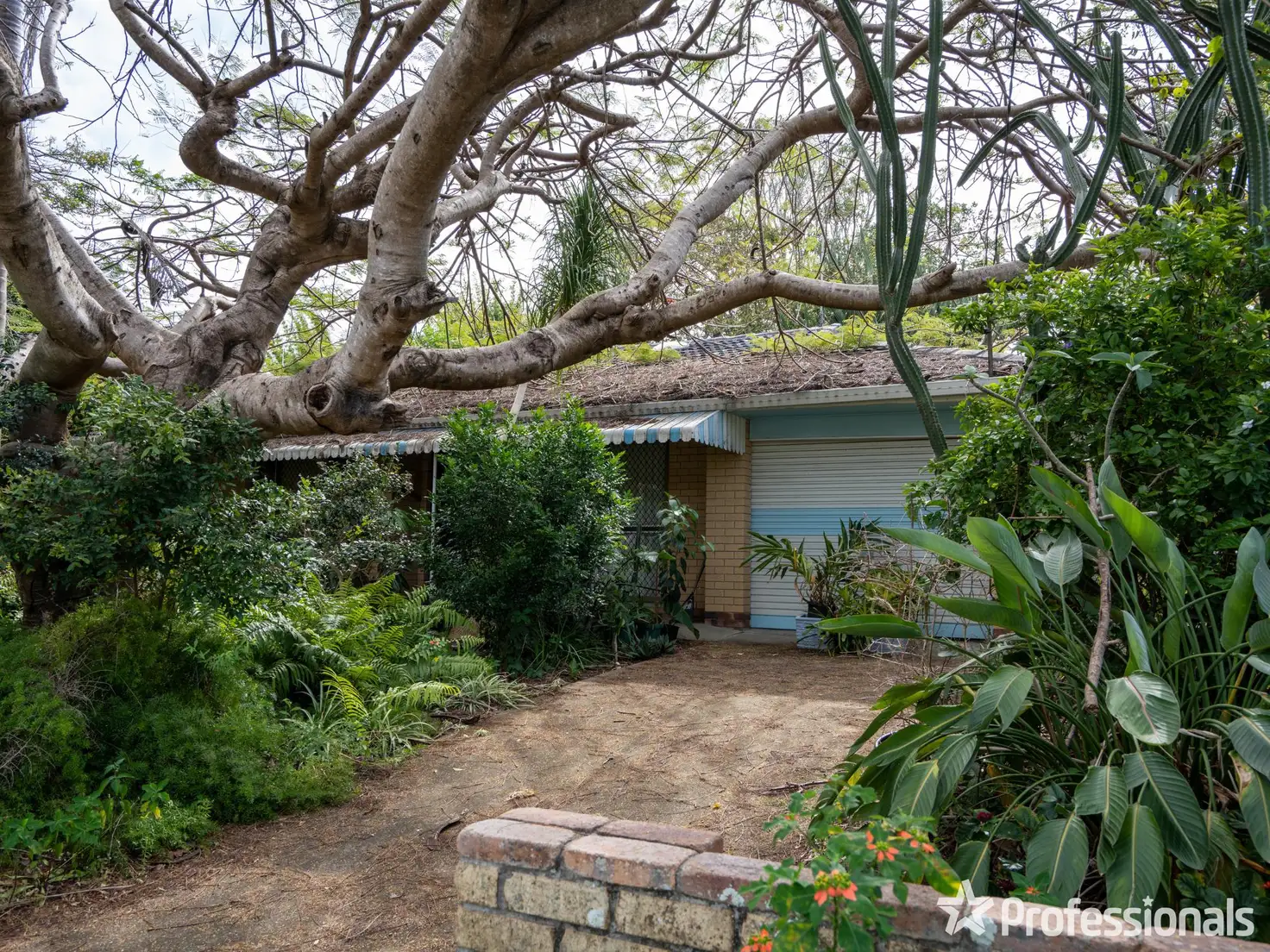 Main view of Homely house listing, 53 Acanthus Avenue, Burleigh Heads QLD 4220