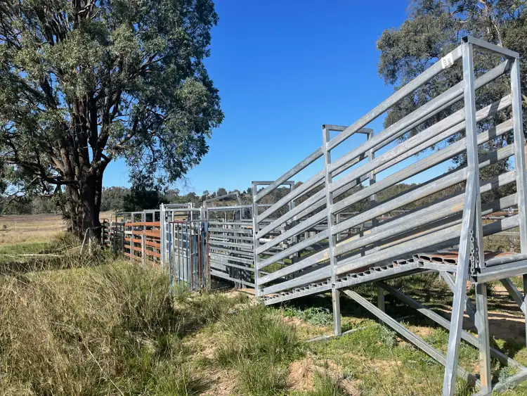 Fourth view of Homely rural property listing, Pine Creek 3461 Wyuna Road, Mullaley via, Gunnedah NSW 2380