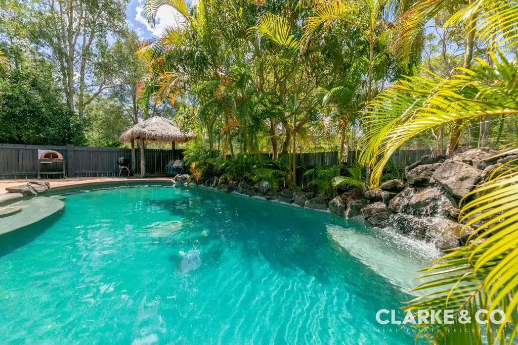 Main view of Homely house listing, 12 Beech Road, Landsborough QLD 4550