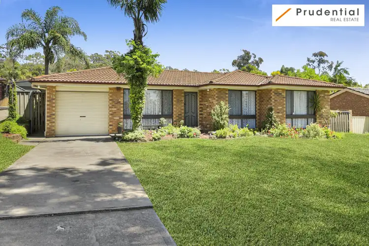 17 Rees Close, Eagle Vale NSW 2558