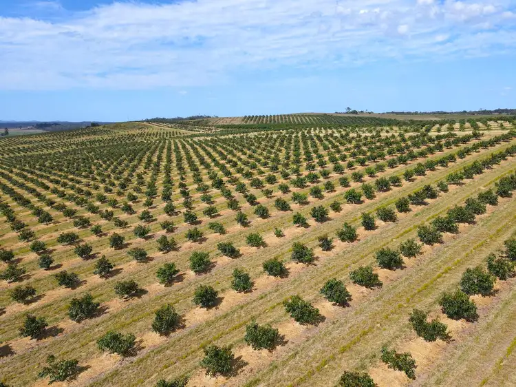 Main view of Homely rural property listing, 236 Redhill Farms Road, Redhill Farms QLD 4671